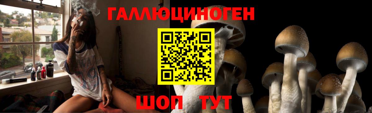 Балашиха  Псилоцибиновые грибы Cubensis  Галлюциногенные грибы прущие грибы  Вход с VPN 